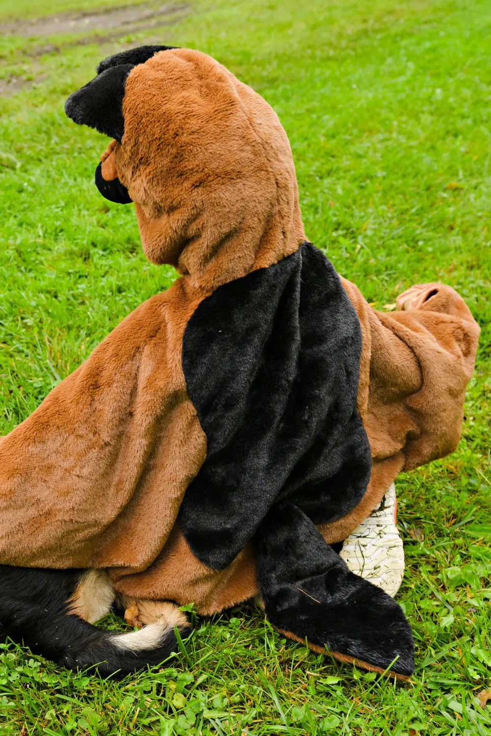 Dog Cuddle Cape Size 2-3